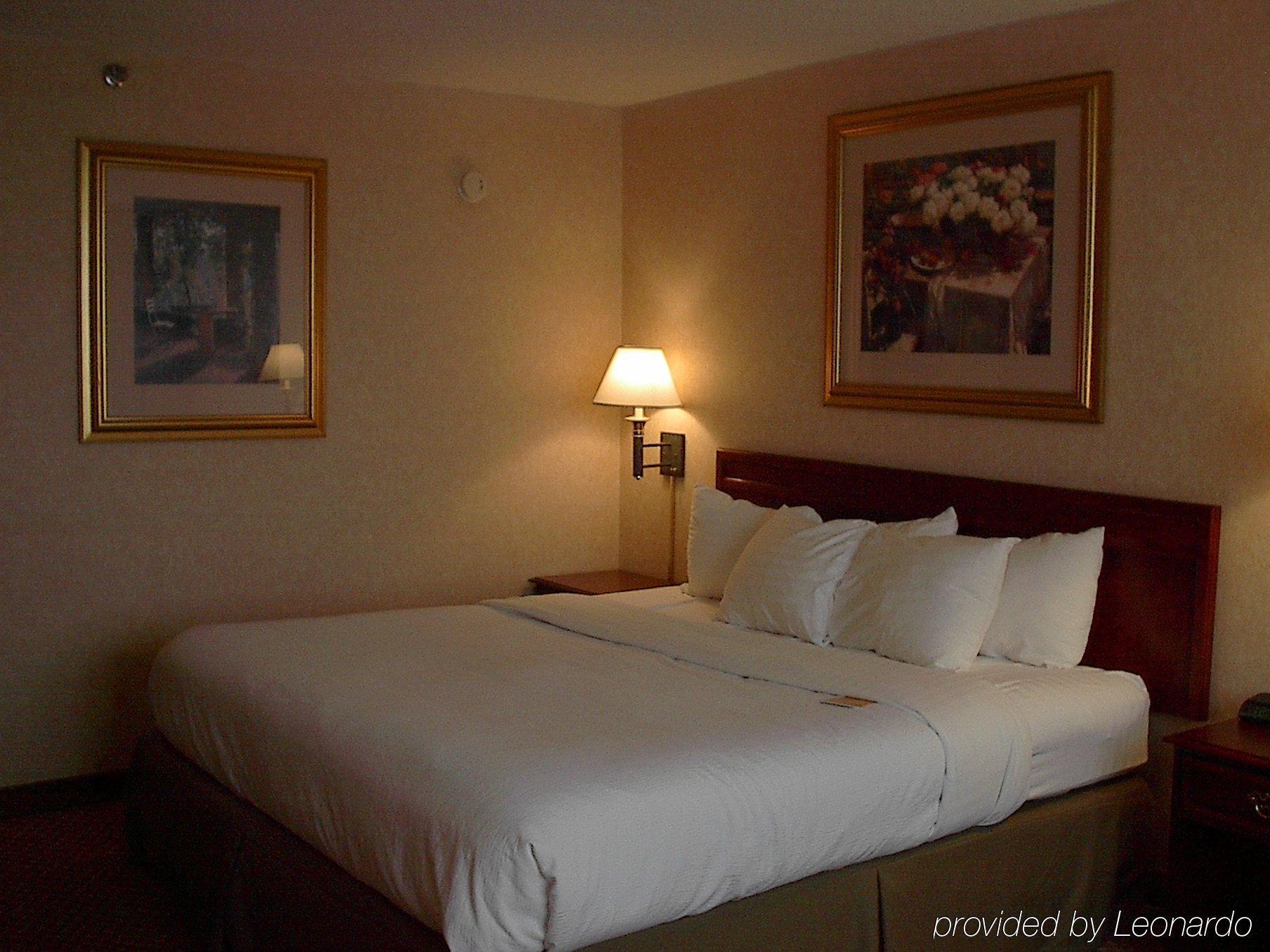 Holiday Inn Charlottesville-Monticello, An Ihg Hotel Kamer foto